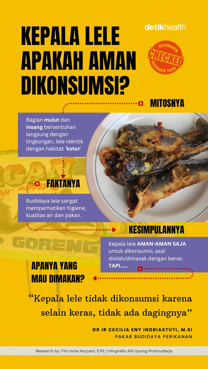 Kepala Lele Sering Dibuang, Sebenarnya Aman atau Berisiko Dikonsumsi?